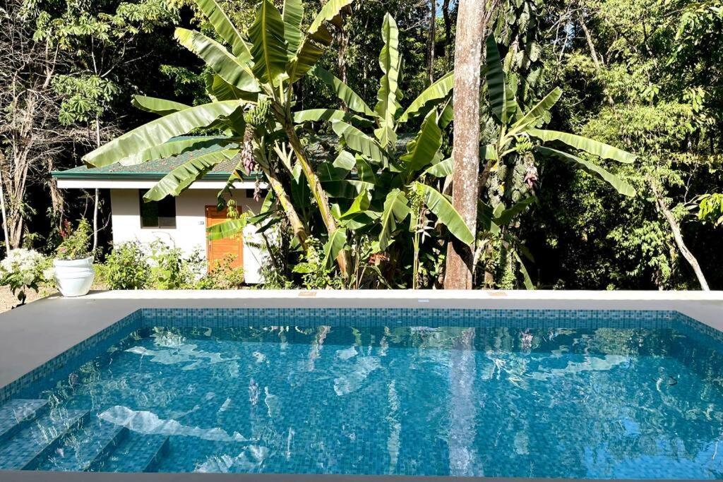 An Abundance Of Wildlife At Jungle Glory Home Abajo 曼努埃尔安东尼奥 外观 照片