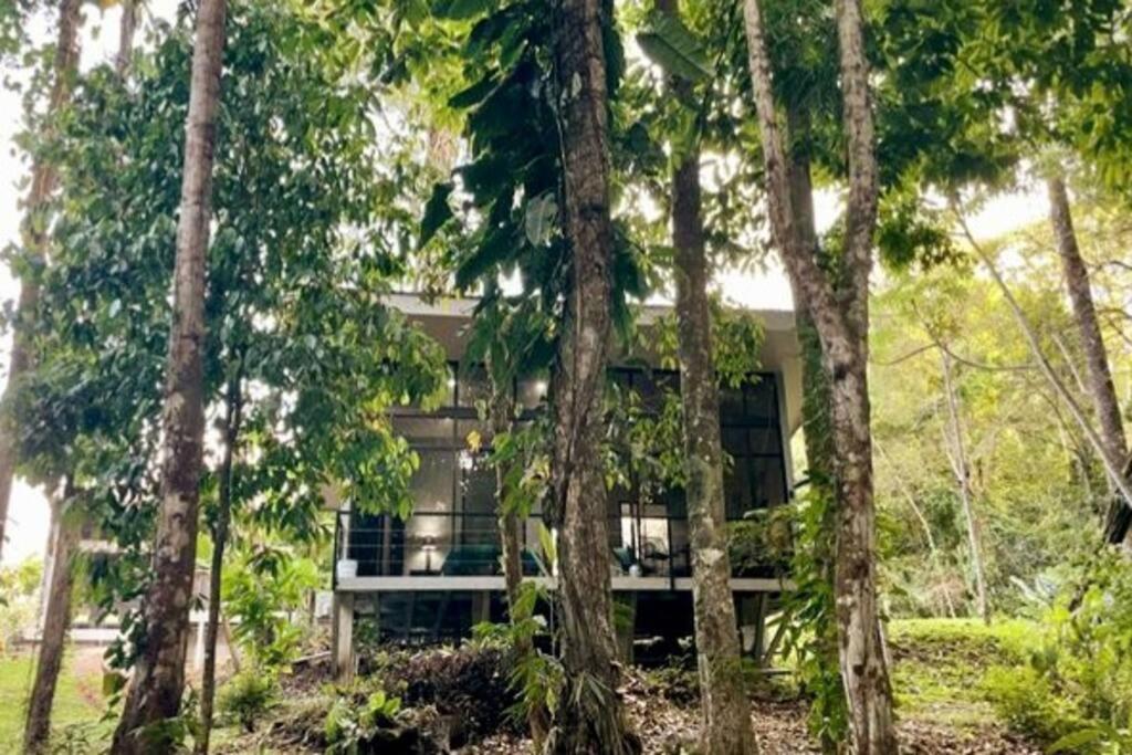 An Abundance Of Wildlife At Jungle Glory Home Abajo 曼努埃尔安东尼奥 外观 照片