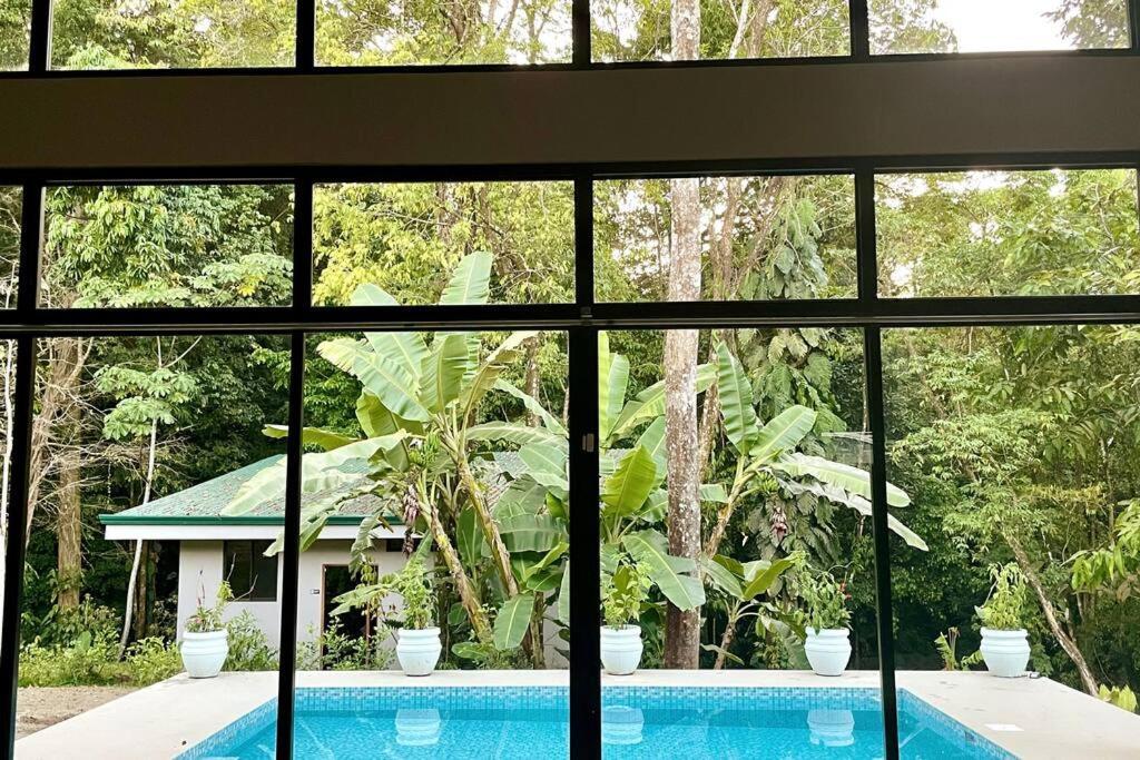 An Abundance Of Wildlife At Jungle Glory Home Abajo 曼努埃尔安东尼奥 外观 照片