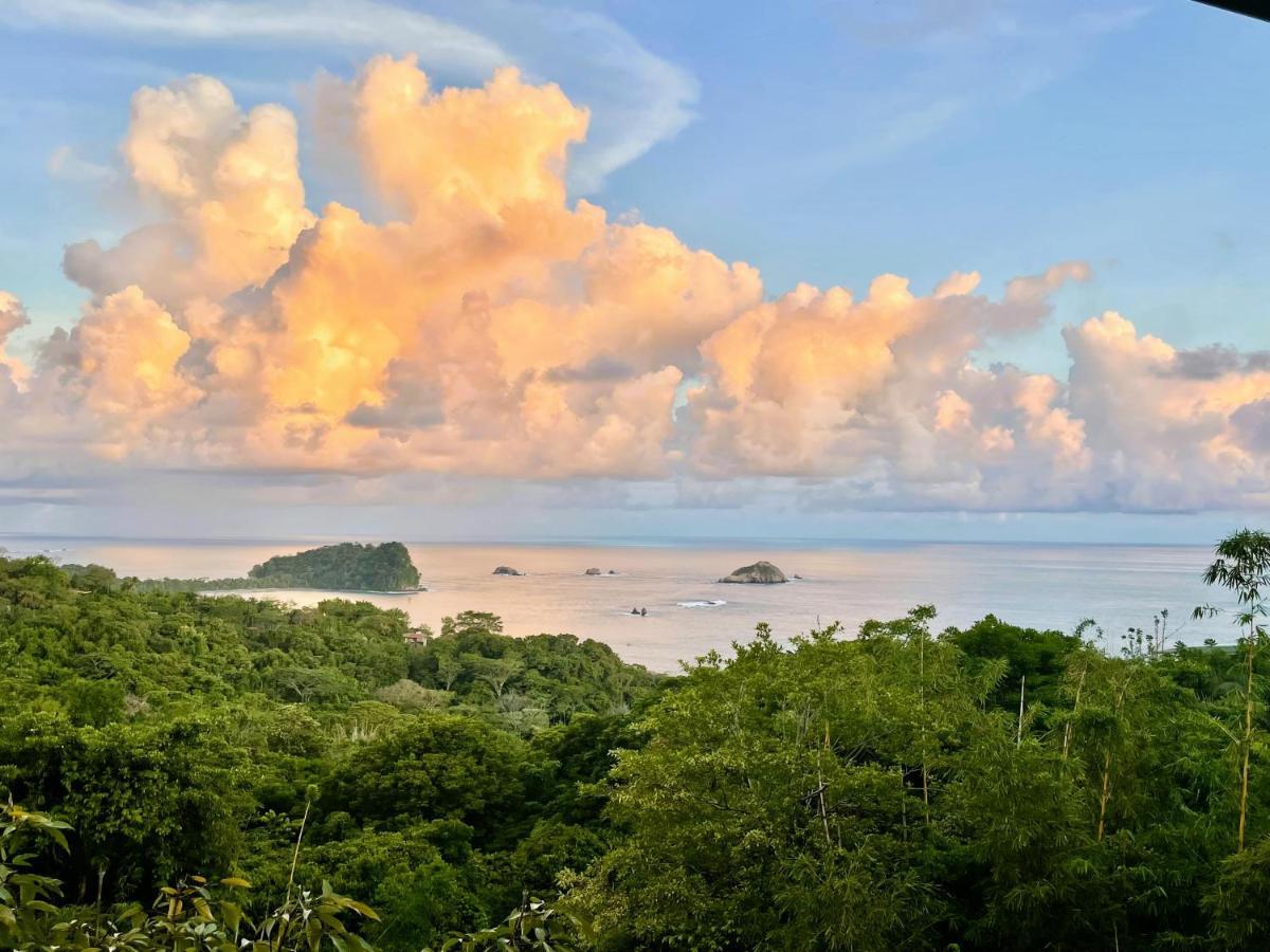 An Abundance Of Wildlife At Jungle Glory Home Abajo 曼努埃尔安东尼奥 外观 照片